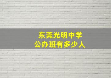 东莞光明中学公办班有多少人