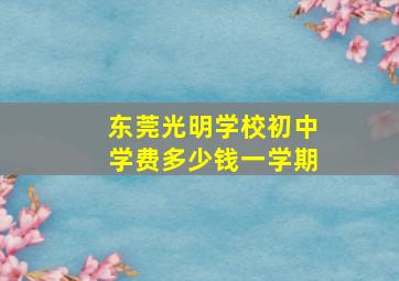 东莞光明学校初中学费多少钱一学期