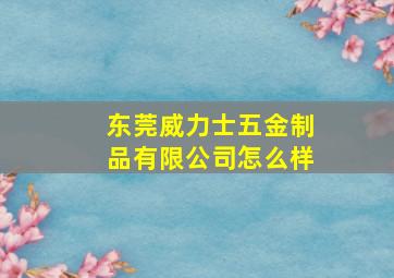 东莞威力士五金制品有限公司怎么样