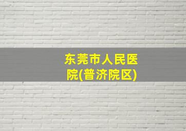 东莞市人民医院(普济院区)