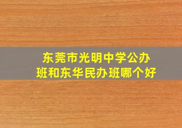 东莞市光明中学公办班和东华民办班哪个好