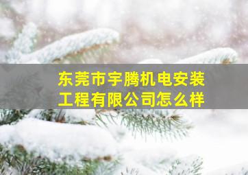 东莞市宇腾机电安装工程有限公司怎么样