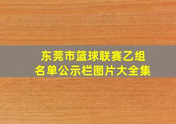 东莞市篮球联赛乙组名单公示栏图片大全集