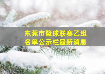 东莞市篮球联赛乙组名单公示栏最新消息