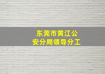 东莞市黄江公安分局领导分工