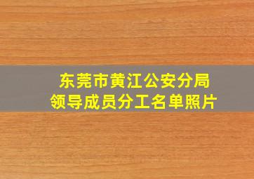 东莞市黄江公安分局领导成员分工名单照片