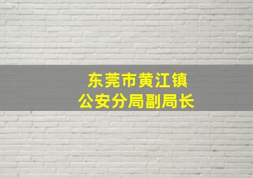 东莞市黄江镇公安分局副局长