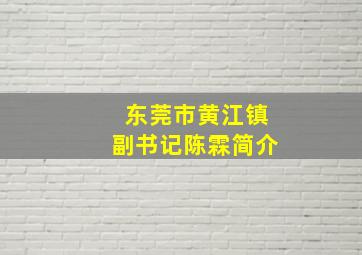 东莞市黄江镇副书记陈霖简介