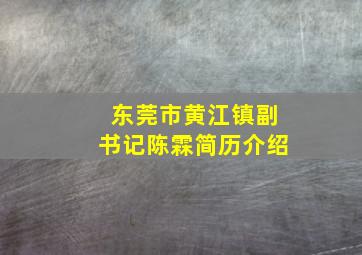 东莞市黄江镇副书记陈霖简历介绍