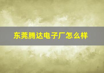 东莞腾达电子厂怎么样