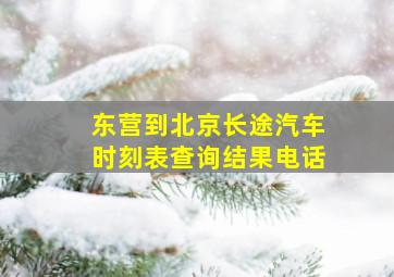 东营到北京长途汽车时刻表查询结果电话