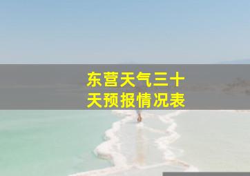 东营天气三十天预报情况表