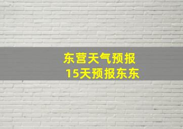 东营天气预报15天预报东东