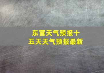 东营天气预报十五天天气预报最新