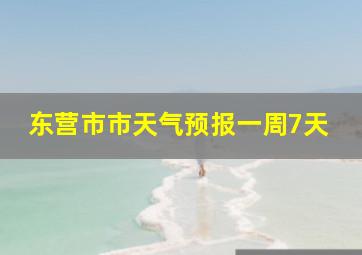 东营市市天气预报一周7天