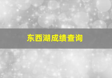 东西湖成绩查询