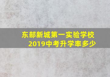 东部新城第一实验学校2019中考升学率多少