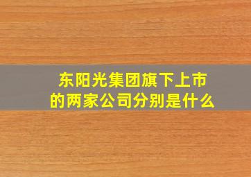 东阳光集团旗下上市的两家公司分别是什么