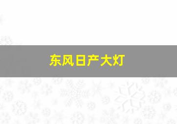 东风日产大灯