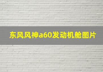 东风风神a60发动机舱图片