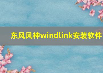 东风风神windlink安装软件