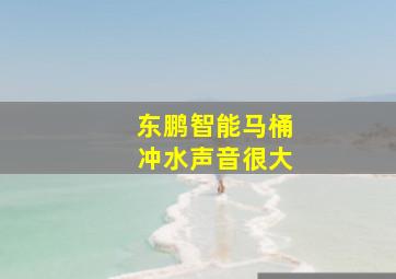 东鹏智能马桶冲水声音很大