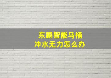 东鹏智能马桶冲水无力怎么办