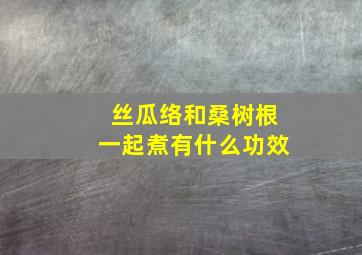 丝瓜络和桑树根一起煮有什么功效