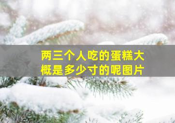 两三个人吃的蛋糕大概是多少寸的呢图片