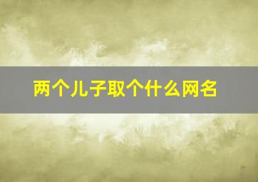 两个儿子取个什么网名