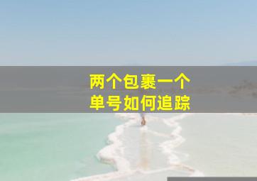 两个包裹一个单号如何追踪