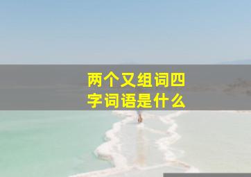 两个又组词四字词语是什么