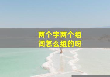 两个字两个组词怎么组的呀