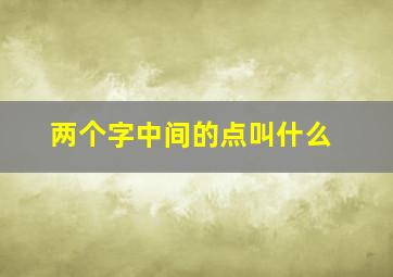 两个字中间的点叫什么