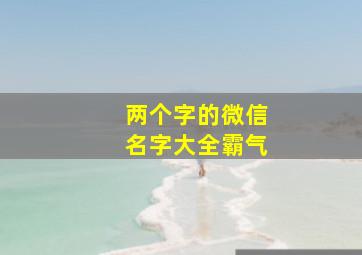 两个字的微信名字大全霸气