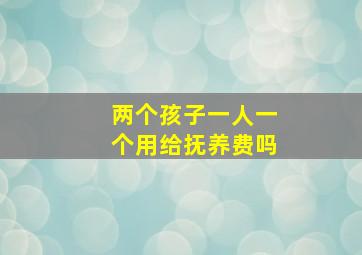 两个孩子一人一个用给抚养费吗