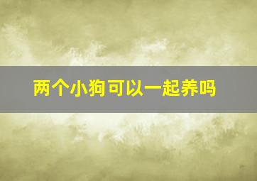 两个小狗可以一起养吗