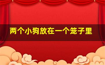 两个小狗放在一个笼子里