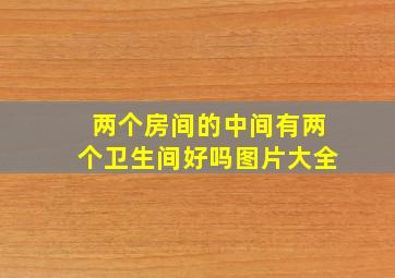 两个房间的中间有两个卫生间好吗图片大全