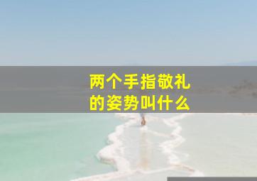 两个手指敬礼的姿势叫什么