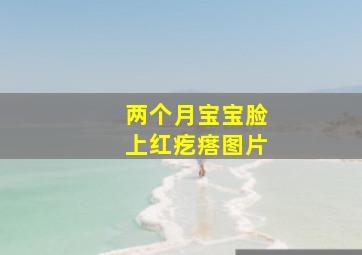 两个月宝宝脸上红疙瘩图片