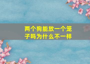 两个狗能放一个笼子吗为什么不一样