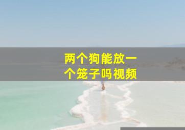 两个狗能放一个笼子吗视频