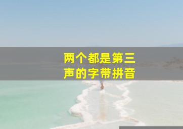 两个都是第三声的字带拼音