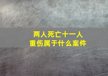 两人死亡十一人重伤属于什么案件