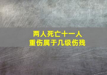 两人死亡十一人重伤属于几级伤残