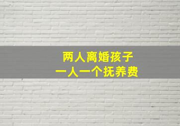 两人离婚孩子一人一个抚养费