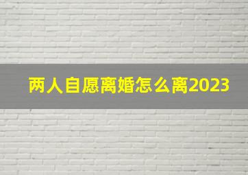 两人自愿离婚怎么离2023