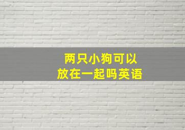 两只小狗可以放在一起吗英语