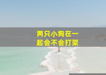 两只小狗在一起会不会打架